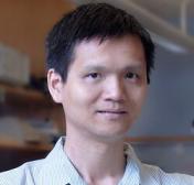 Nonlinear Mechanics, Morphology and Instability of Thin Structures