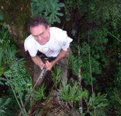 From Ants to Hummingbirds: The Evolution of Flight