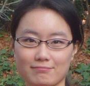 Iterative Reconstruction for Dual Energy CT Using Compress Sensing