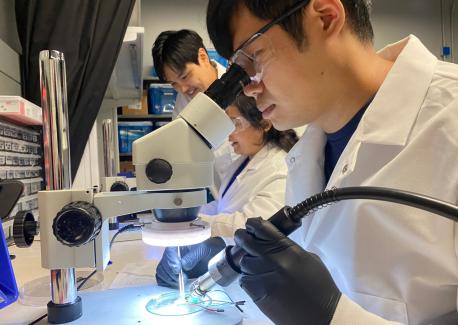 Researchers in Hong Yeo's lab