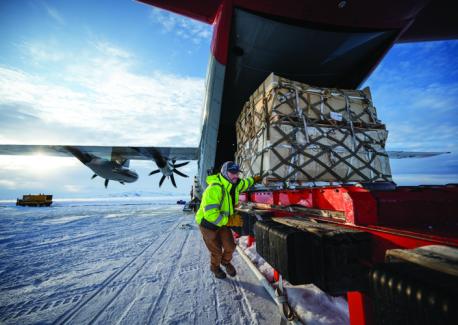 Ice-Cold Yellow Jackets